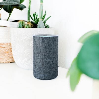 Amazon Echo Dot 5th Gen